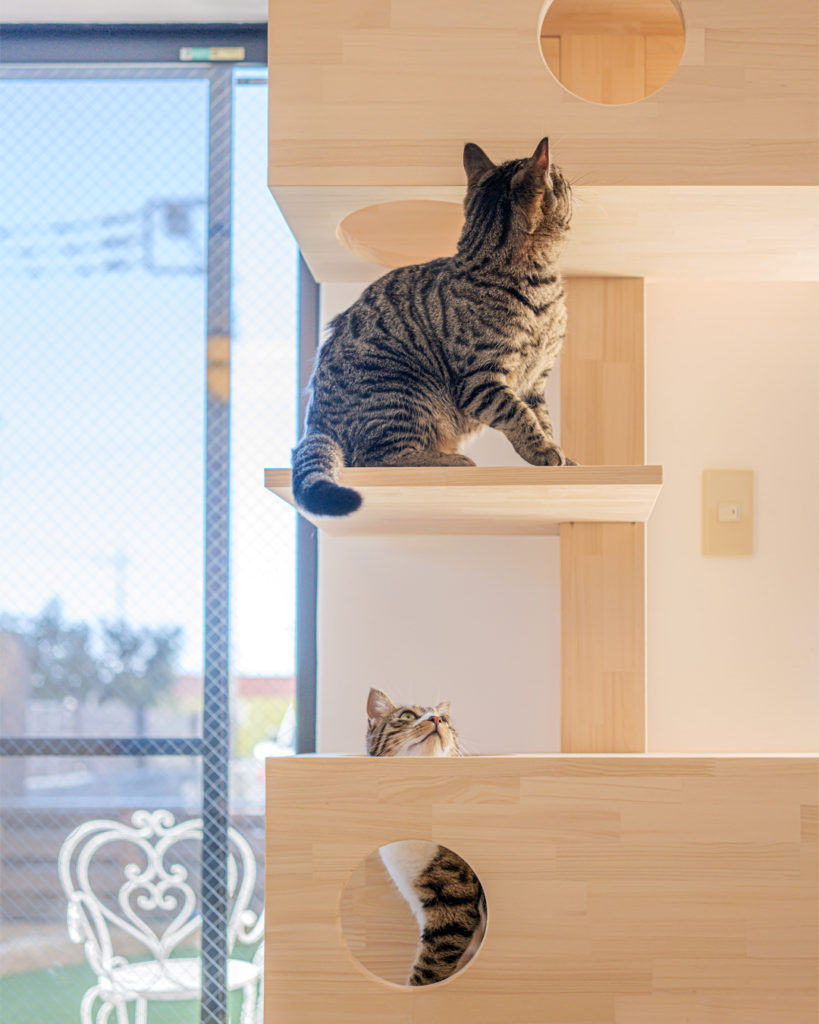 猫がよろこぶモデルハウス