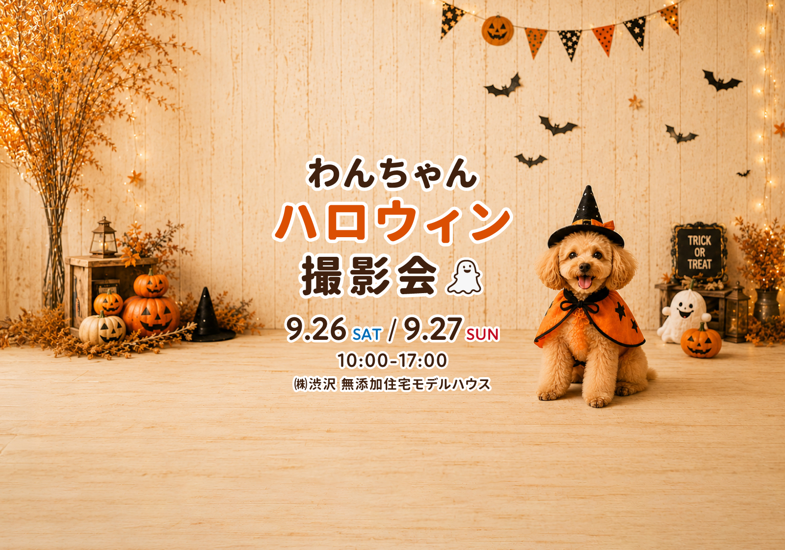 『わんちゃんハロウィン撮影会』開催！愛犬と楽しむ無料フォトイベント