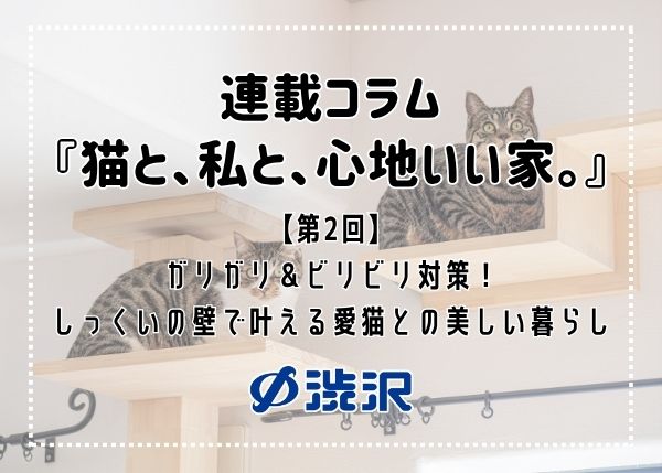 連載コラム『猫と、私と、心地いい家。』 ―【第2回】ガリガリ＆ビリビリ対策！しっくいの壁で叶える愛猫との美しい暮らし
