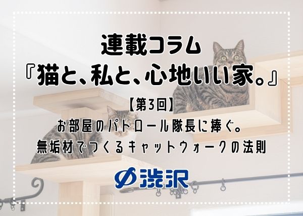 連載コラム『猫と、私と、心地いい家。』 ―【第3回】お部屋のパトロール隊長に捧ぐ。無垢材でつくるキャットウォークの法則